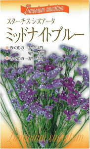 ԉc@X^[`X VkA[^u~bhiCgu[ṽ^l@0.2ml