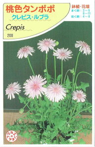 ԉc@F^||uNsXEuṽ^l@10