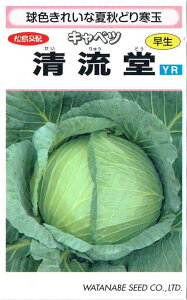 nӍ̎@Lxcuṽ^l@1.1ml