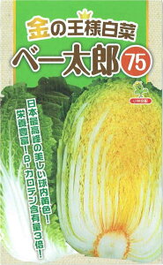 юc@̉l؁ux[Y75ṽ^l@[eʁF50]