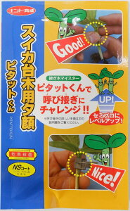 igcuXCJؗp[ s^bgṽ^l@[e:40]