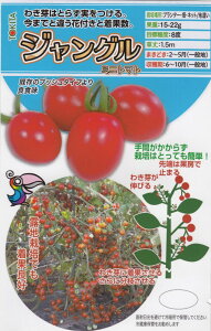 gL^cu~jg}g WOṽ^l@[eʁF8]