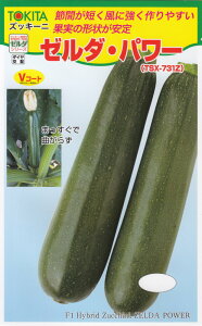 gL^cuYbL[j [_Ep[ṽ^l@[eʁF10]