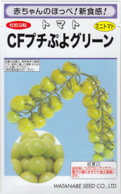 渡辺採種場「ミニトマト CFプチぷよグリーン」のタネ　[内容量:約7粒]