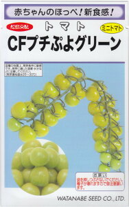 nӍ̎u~jg}g CFv`ՂO[ṽ^l@[e:8]