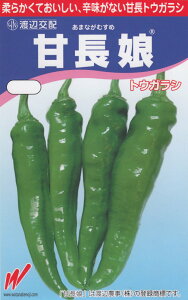 nӔ_uÒgEKV Òṽ^l@[e:18]