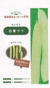 R_@Z^[uLE Eṽ^l@[e:10]