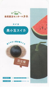 R_@Z^[uXCJ ʃXCJṽ^l@[e:10]