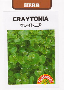 cquNCgjAṽ^l[e:0.1ml]