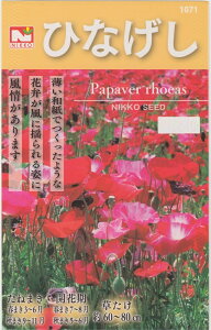 c@ЂȂiV[|s[j̃^lme:100mlnytEHz