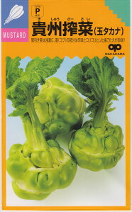 ̎@MB؁iʃ^Jij̃^lme:ybgq200n