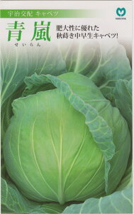 ێ@Lxc ijme:0.6mln