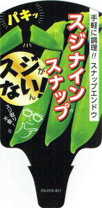 XibvGhEuXWiCXibv 4{Zbgv9cm|bgcy邠zy̔ԁFH10{`11{^t3{`3{z