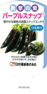 XibvGhEup[vXibv 4{Zbgv9cm|bgcy邠zy̔ԁFH10{`11{^t3{`3{z