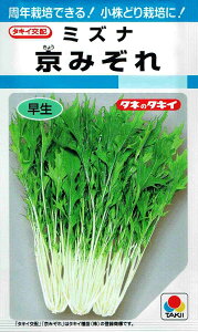 ^LCc ~Yi ݂ 2.2ml yXΉz