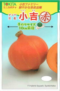 �g�L�^��c�@�~�j�J�{�`���@���g�ԁ@[��7��]