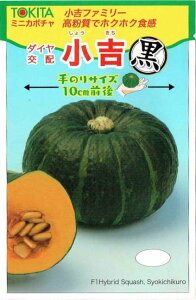 �g�L�^��c�@�~�j�J�{�`���@���g���@[���e�ʁF��7��]