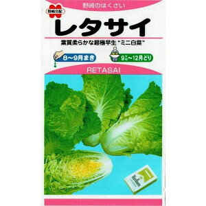 ̎@~jnNTC@^TC@1mlyXΉz