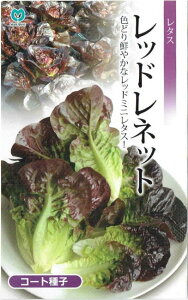 ێ@^X@bhlbg@R[gq40yXΉz