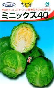 �ێ�@�L���x�c�@�~�j�b�N�X40�@��70���y�X���Ή��z