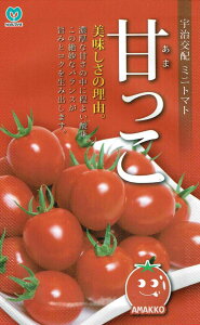 �ێ�@�F����z �~�j�g�}�g �Â��� ��15�� �y�X���Ή��z