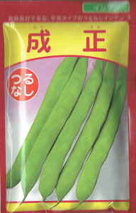 c CQ iȂ܂j1fVbgyXΉz