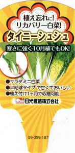 Jo[؁u^Cj[VVv9cm|bgcyF10{`11{z