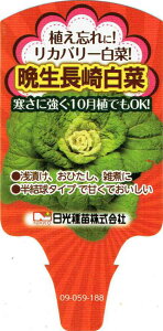 Jo[؁uӐ蔒؁v9cm|bgcyF10{`11{z