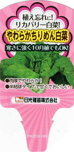 Jo[؁u炩߂񔒍؁v9cm|bgcyF10{`11{z