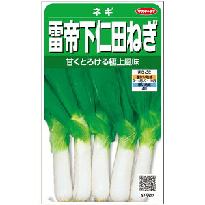 サカタのタネ ネギ 雷帝下仁田ねぎ 6ml【郵送対応】