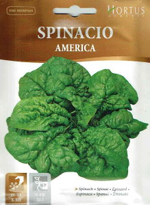 yHORTUSЁzzE\EEAJ@AMERICA@15g@[5931][COD.BSOSPI009] yXΉz