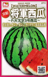 c@z@RZ̃^l@[eʁF1ml]y2711zytziXCJAj