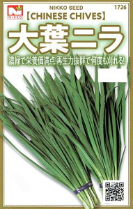 c@tjiɂj@O[[h̃^l@[eʁF3ml]y1726z