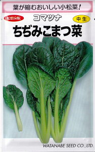 nӍ̎@R}ci ݏ 3.7mllyXΉz