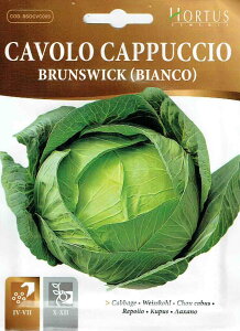 yHORTUSЁzLxc@uXCb`@5g@[0761][COD.BSOCVC009]yXΉz