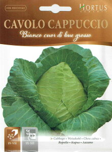 yHORTUSЁzLxc@Cappuccio bianco cuor di bue grosso@Ob\@5g@[0781][COD.BSOCVC002] yXΉz