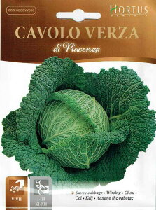 �yHORTUS�Ёz�T�{�C�L���x�c�E�s�A�c�F���c�@�@CAVOLO VERZA DI PIACENZA�@5g�@[1341][COD.BSOCVV006] �y�X���Ή��z
