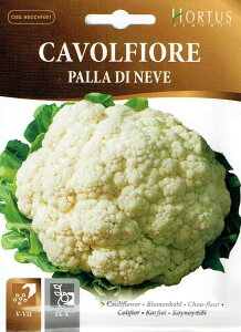 yHORTUSЁzJt[Ep@fB@l[F@Palla di neve@2g@[0971][COD.BSOCVF001] yXΉz