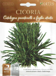 �yHORTUS�Ёz���[�t�`�R���[�i�v���^���b���j�E�t�H�O���A�X�g���b�^�@10g�@[1661][COD.BSOCIC101] �y�X���Ή��z