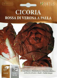 【HORTUS社】リーフチコリー・ベローナ　パラ　Rossa di Verona a palla　10g　[1811][COD.BSOCIC1811] 【郵送対応】