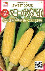 ������c�@�T�J�^��z�@�n�j�[�o���^��20�i�Ƃ����낱���j�̃^�l�@[���e�ʁF10ml]�y1255�z�y�t�z