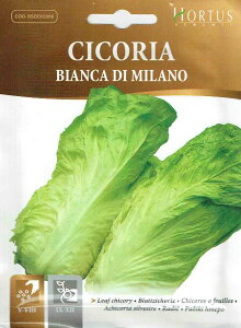 �yHORTUS�Ёz���[�t�`�R���[�E�~���m�@Bianca di Milano�@10g�@[1961][COD.BSOCIC006] �y�X���Ή��z