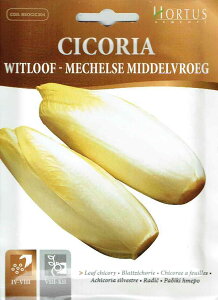 yHORTUSЁzEBbg[t`R[@Witloof di Bruxelles@10g@[2021][COD.BSOCIC304] yXΉz