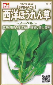 日光種苗　西洋ほうれん草（ノーベル）のタネ[内容量：10ml]　【1313】（法蓮草、ホウレンソウ）