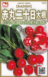 c@Ԋ20卪incJ_CRj̃^l@[eʁF5ml]y1513z