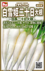 ������c�@����P��\���卪�i�n�c�J�_�C�R���j�̃^�l�@[���e�ʁF5ml]�y1510�z