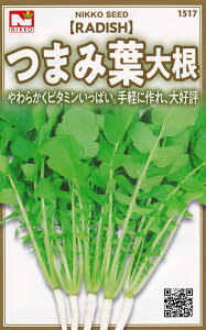 c@_CR@܂ݗt卪̃^l@[eʁF10ml]y1517z