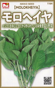 c@wC̃^l@[eʁF1ml]y1164z