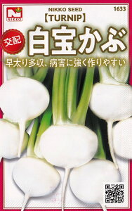 c@z@󂩂ԁiAJuj̃^l@[eʁF3ml]y1633z