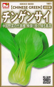 c@`QTC̃^l@[eʁF5ml]y1851z